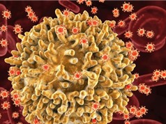 Phát hiện biến thể virus HIV mới dễ lây lan và nguy hiểm hơn